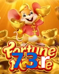 73r